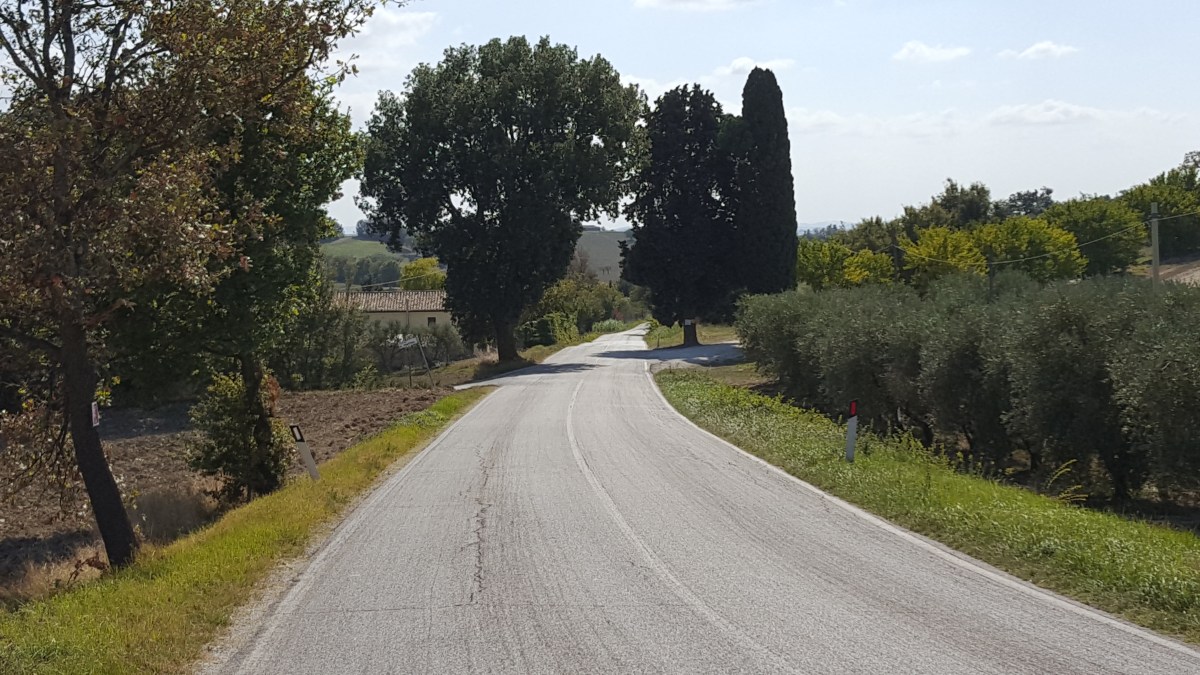 The road to&nbsp;recovery