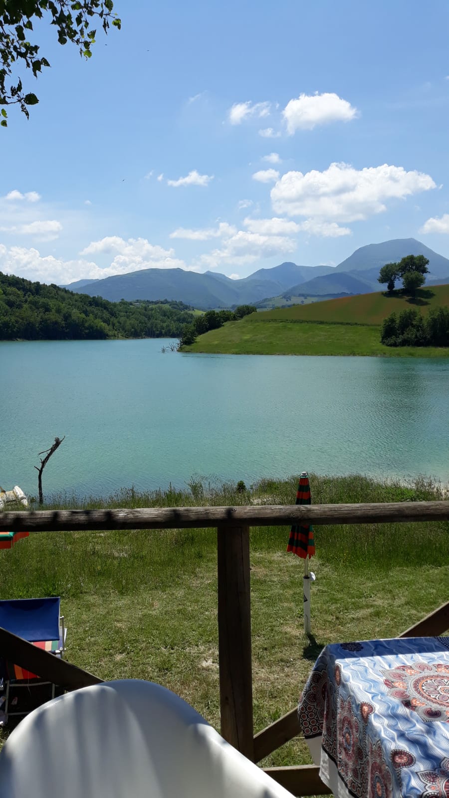 Should I stay or should I go&nbsp;?