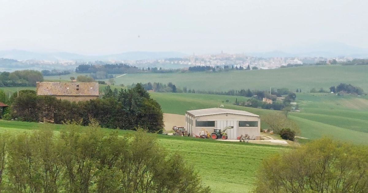 The Icing on the&nbsp;Cake?