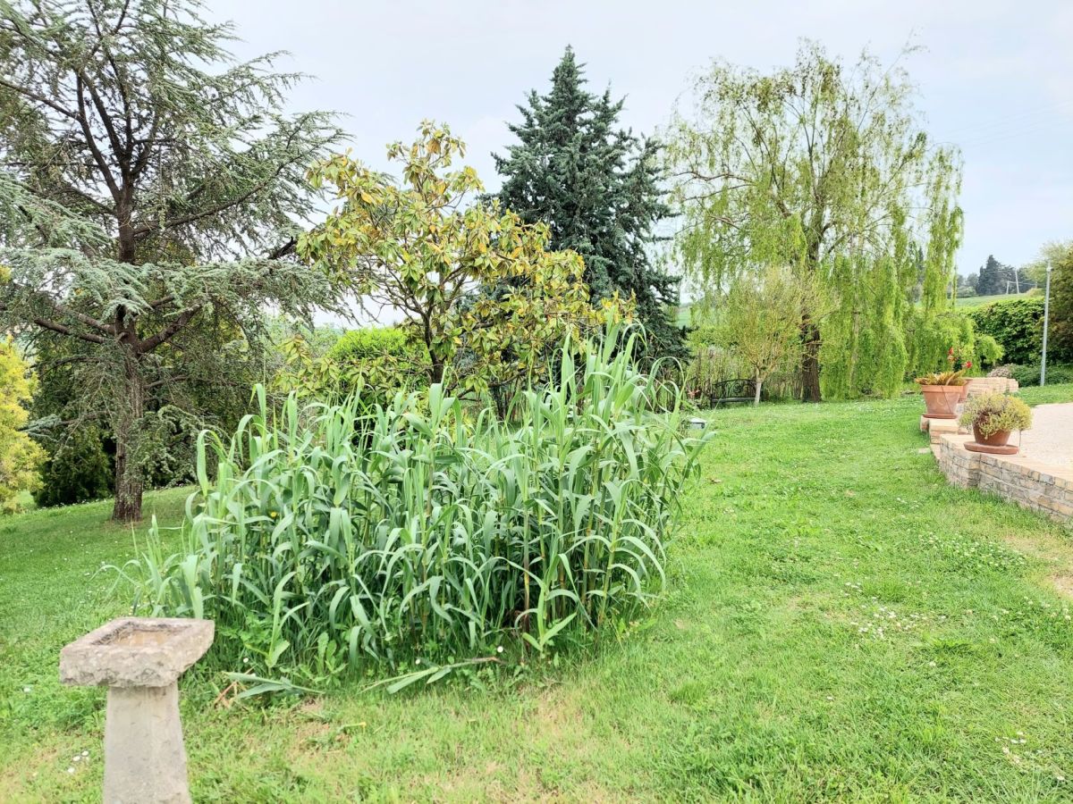 A Stroll Around The&nbsp;Garden