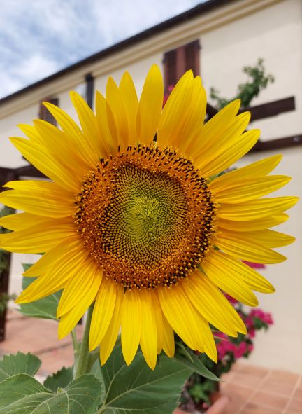 This is what we joined&nbsp;for