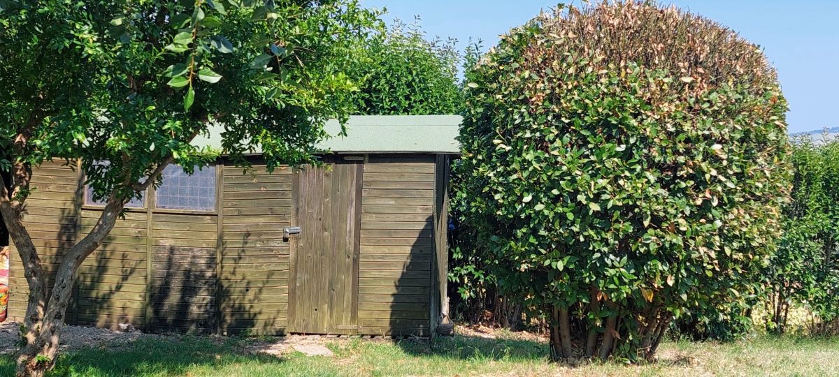 I Blame The&nbsp;Shed